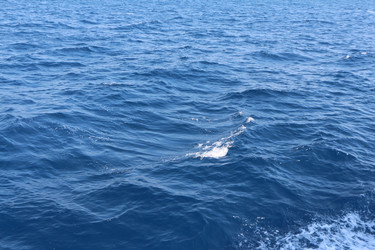 Similar image 22600155