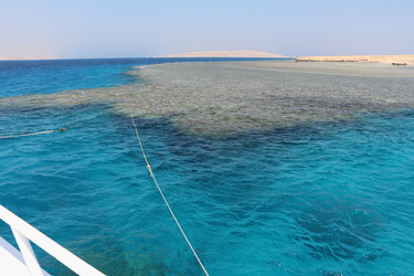 Similar image 22600156