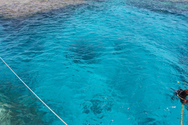 Similar image 22600157