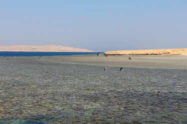 Similar image 22600159