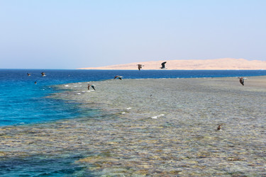 Similar image 22600161