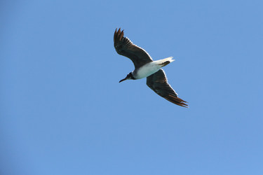 Similar image 22600163