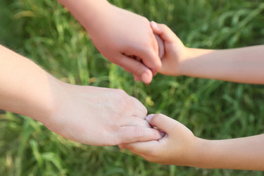 Similar image 22600452