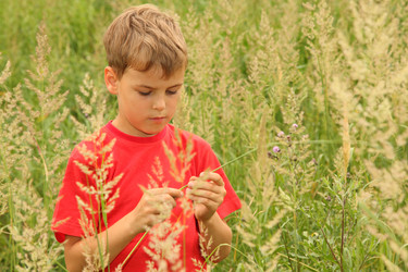 Similar image 22600605