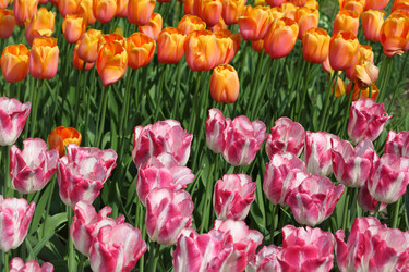 Similar image 22600740