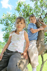 Similar image 22600991