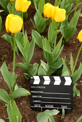 Similar image 22600408