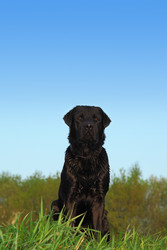 Similar image 22601146