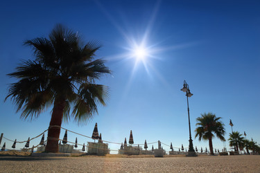 Similar image 22599934