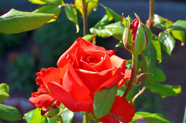 Similar image 22600111