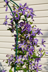Similar image 22600112