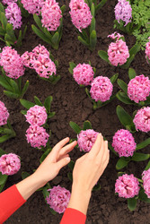 Similar image 22597889