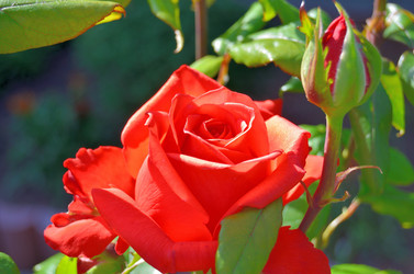 Similar image 22600116