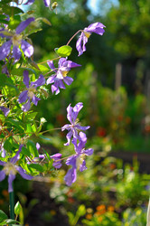 Similar image 22600117