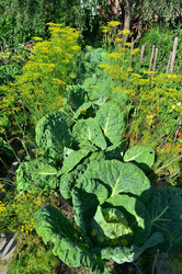 Similar image 22600124