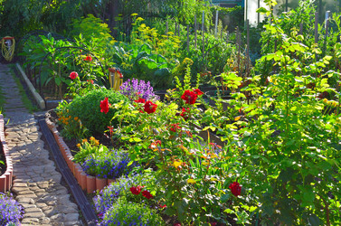 Similar image 22600126