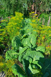 Similar image 22600127