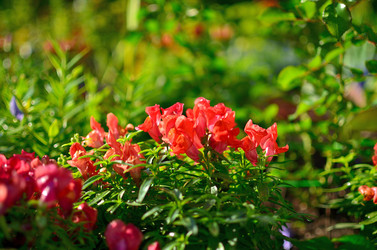 Similar image 22600129