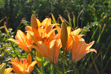 Similar image 22600131