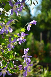 Similar image 22600135