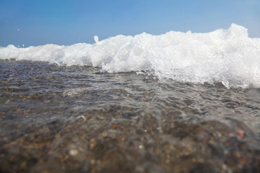 Similar image 22600012