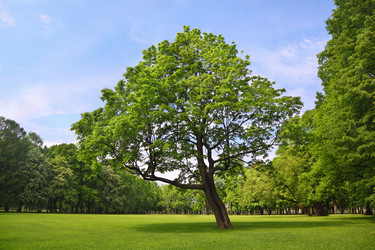 Similar image 22600027