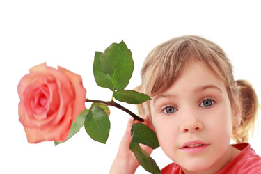 Similar image 22600640