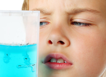 Similar image 22600683