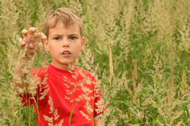 Similar image 22600921