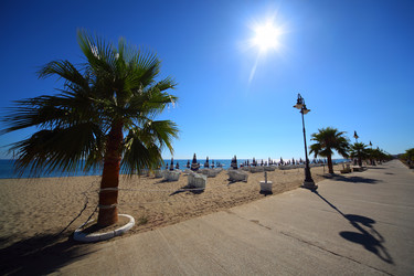 Similar image 22600951