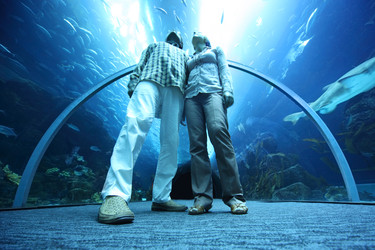 Similar image 22600535