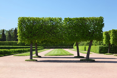 Similar image 22598263