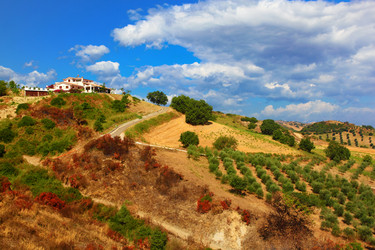 Similar image 22599982