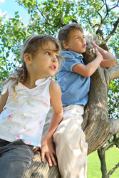 Similar image 22600507