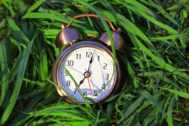 Similar image 22600537