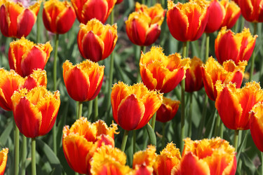 Similar image 22600956