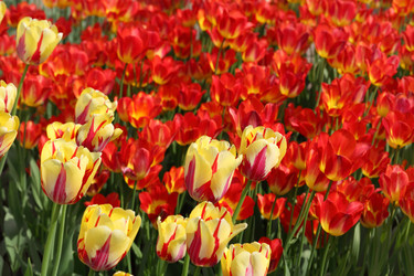 Similar image 22597725