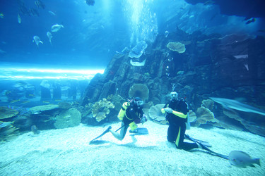 Similar image 22600075