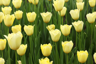 Similar image 22600419