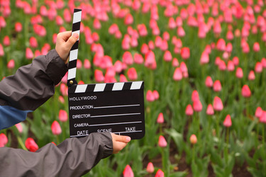 Similar image 22597696