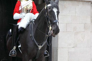 Similar image 22597711