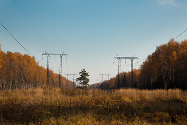 Similar image 22597907