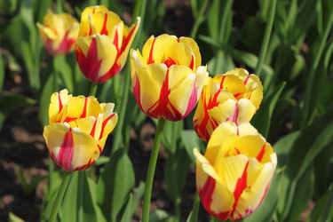 Similar image 22599866