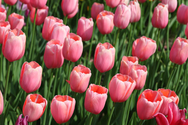 Similar image 22599942