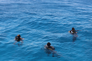 Similar image 22600175