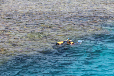 Similar image 22600176