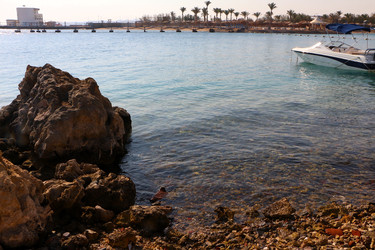 Similar image 22600178