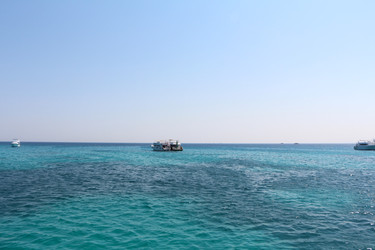 Similar image 22600179