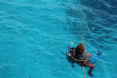 Similar image 22600180