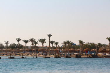 Similar image 22600181